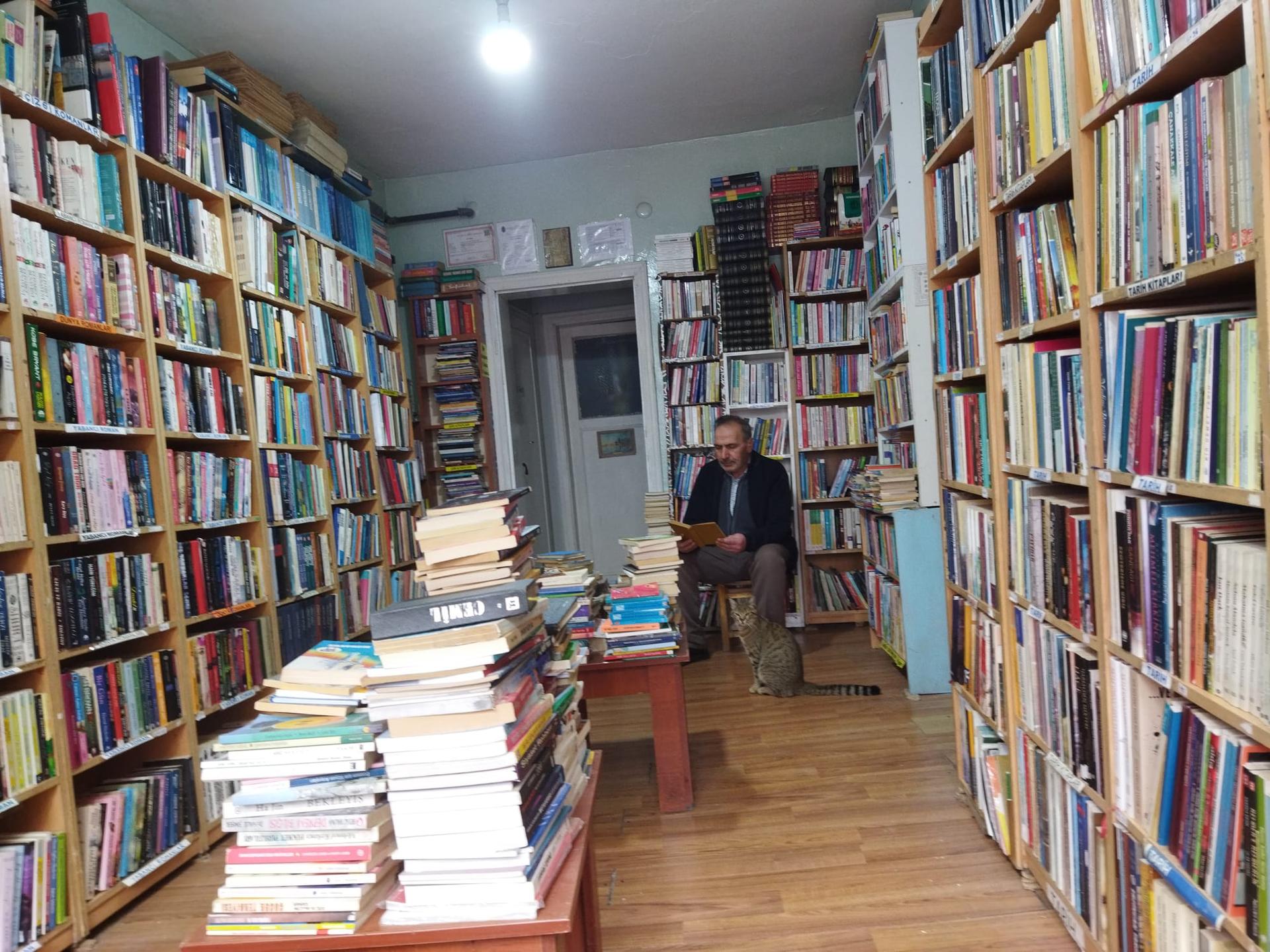 Plak ve efemeralar